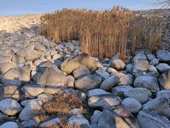 -上海吴淞炮台湾国家湿地公园