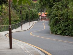 -深圳仙湖植物园