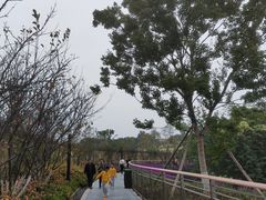 -重庆平顶山公园