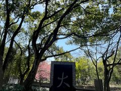 -兰亭风景区