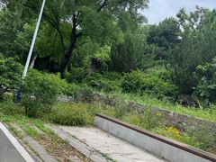 -石家庄市植物园