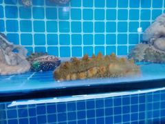 -宾朋海鲜特色美食餐厅·纯手工鲅鱼水饺(兴海路店)