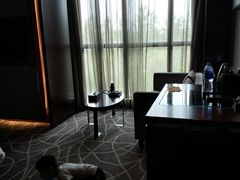 -常州环球恐龙城维景国际大酒店