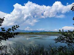 -野鸭湖国家湿地公园