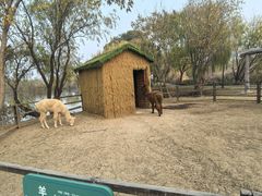 -长兴太湖图影湿地文化园