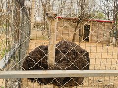 -必胜客(新中纬店)