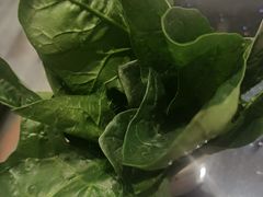 -八合里潮汕鲜牛肉火锅(吉大店)