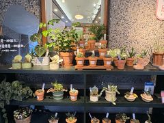 -思南书局(复兴中路店)
