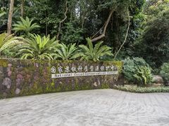 -深圳仙湖植物园
