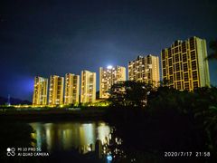 -美的鹭湖森林度假区