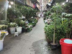 -循礼门鲜花花市(武汉循礼门店)