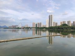 -飞来湖湿地公园