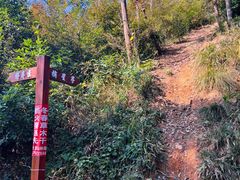 -青龙山国家森林公园