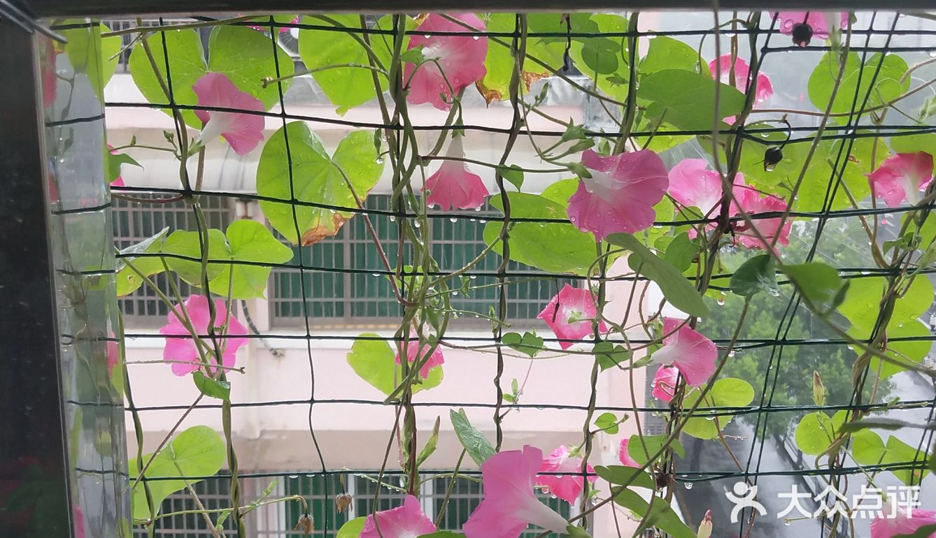岁月果然温柔以待