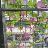 岁月果然温柔以待