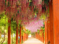 -雪山彩虹谷景区