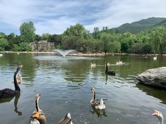 -西安秦岭野生动物园