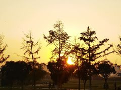 -汉长安城未央宫国家考古遗址公园