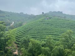 -天目湖御水温泉·度假酒店