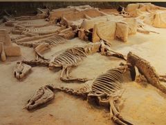 -洛阳周王城天子驾六博物馆