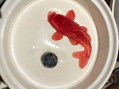 香港奶冻-曾宴·楚菜(湖北省博物馆店)