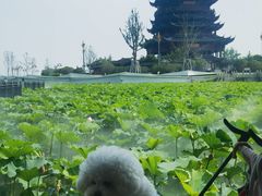 -重元寺香积厨素斋馆