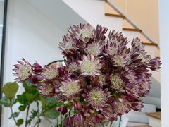 -森野花艺培训·企业团建活动沙龙