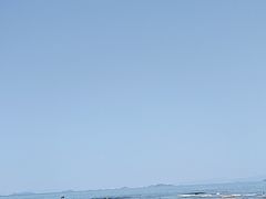 -杨梅坑