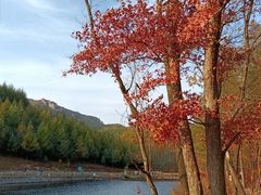-关门山森林公园