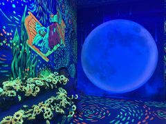 -梵高星空艺术馆(北京旗舰店)