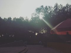 -仁和公园(顺义区)