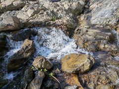 -MOJ coffee(瓯海泽雅水碓坑店)