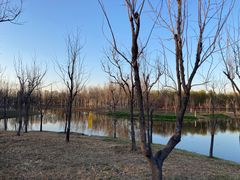 -东郊湿地公园