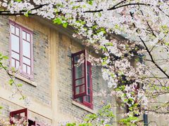 -武汉大学-樱园