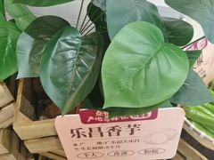 -点都德(奥体印象城店)
