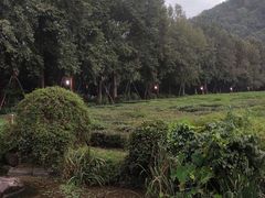 -中国茶叶博物馆(双峰馆区)