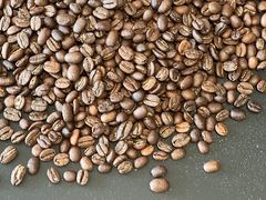 -DEEP COFFEE(瑞光烘焙工厂店)