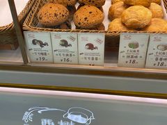 -西树泡芙(湛江万达店)