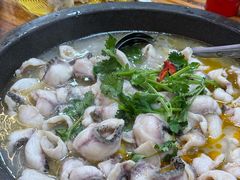 -大鼎石锅鱼(春江里店)