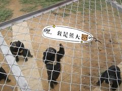 -五龙山野生动物王国