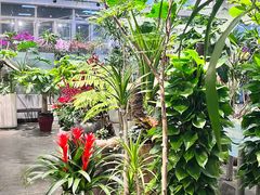 -双季花艺园艺市场(浦东店)