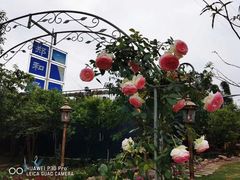 -锦至私房菜(长乐店)