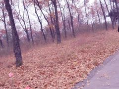 -汉中石门栈道景区