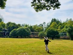 -东湖落雁景区