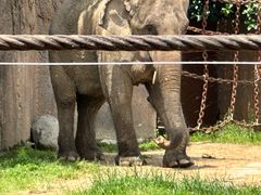 -杭州野生动物世界