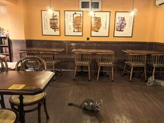 -猫岛主趣味餐厅(鼓浪屿店)