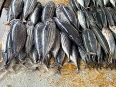 -尼甘布海鲜市场