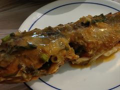 -张鲫鱼家常菜