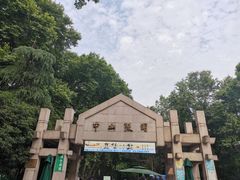 -泸溪河桃酥(秦淮夫子庙一店)