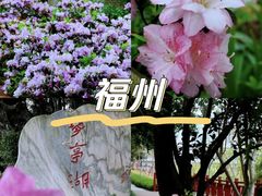 -琴亭湖公园